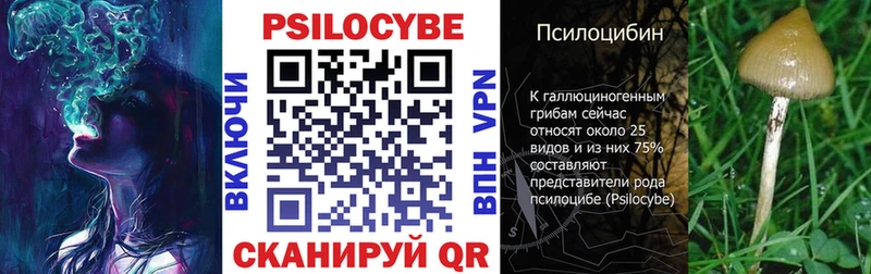 Псилоцибиновые грибы мицелий  Сычёвка 